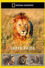 National Geographic: Super Pride Africa\'s Largest Lion Pride