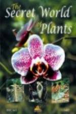 The Secret World of Plants