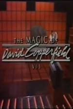 The Magic of David Copperfield VII Familares