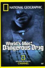 Worlds Most Dangerous Drug