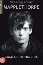 Mapplethorpe: Look at the Pictures