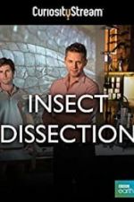 Insect Dissection: How Insects Work