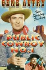 Public Cowboy No 1