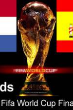 FIFA World Cup 2010 Final