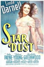 Star Dust