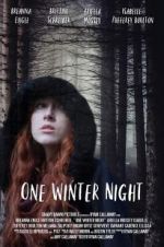 One Winter Night