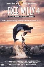 Free Willy Escape from Pirate's Cove