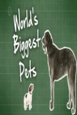 World's Biggest Pets