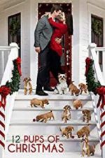 12 Pups of Christmas