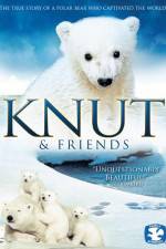 Knut & Friends