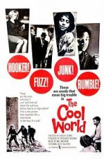 The Cool World