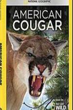 National Geographic - American Cougar