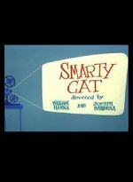 Smarty Cat