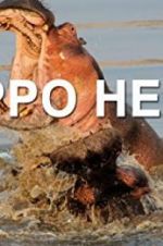 Watch Hippo Hell 123movies