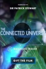 The Connected Universe