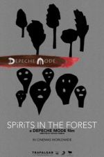 Spirits in the Forest