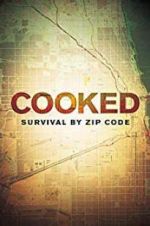 Cooked: Survival by Zip Code