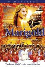 Marigold