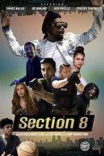 Section 8