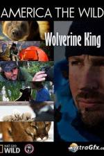 National Geographic Wild America the Wild Wolverine King