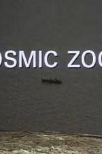 Cosmic Zoom