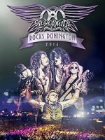 Aerosmith Rocks Donington 2014