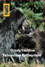 National Geographic Grizzly Cauldron