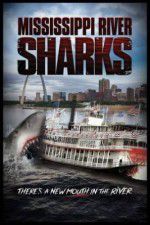 Mississippi River Sharks