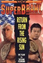 WCW SuperBrawl I