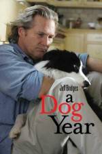 A Dog Year