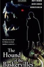 Sherlock Holmes - Der Hund von Baskerville