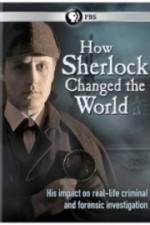 How Sherlock Changed the World