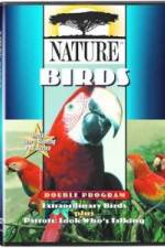 PBS Nature - Extraordinary Birds