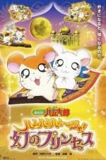 Hamtaro: The Captive Princess