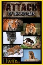 National Geographic Attack Of The Big Cats