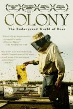 Colony