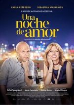 Una noche de amor