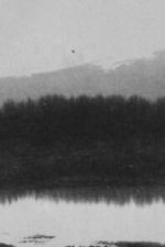 Watch Ch\'an 123movies