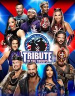 WWE Tribute to the Troops