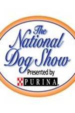 Watch National Dog Show 123movies