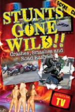 Stunts Gone Wild: Crashes, Smashes & Road Rashes!