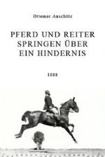 Pferd und Reiter Springen ber ein Hindernis