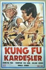 Kung Fu Brothers in the Wild West