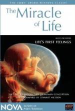 Watch The Miracle of Life 123movies