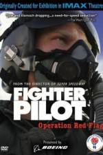 Fighter Pilot Operation Red Flag