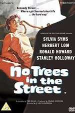 No Trees in the Street