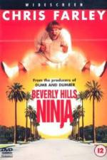 Beverly Hills Ninja