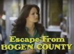 Escape from Bogen County