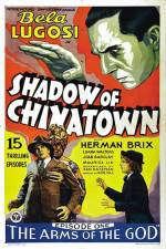 Shadow of Chinatown