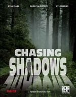 Chasing Shadows